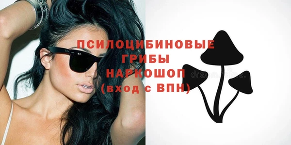 дживик Краснотурьинск