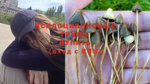 Альфа ПВП Кулебаки