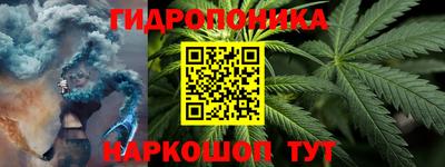 шишки Абинск